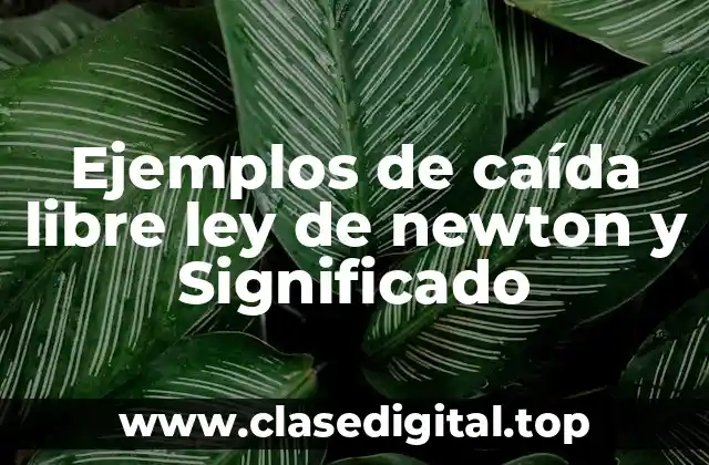 Ejemplos de caída libre ley de newton y Significado