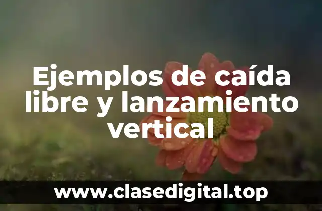 Ejemplos de caída libre y lanzamiento vertical