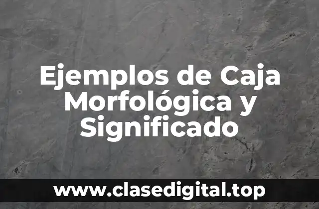 Ejemplos de Caja Morfológica