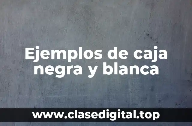 Ejemplos de caja negra y blanca