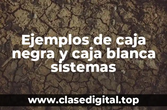 Ejemplos de caja negra y caja blanca sistemas