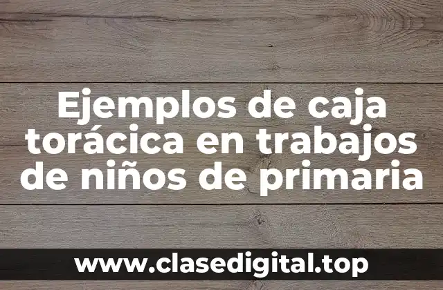 Ejemplos de caja torácica en trabajos de niños de primaria