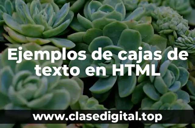 Ejemplos de cajas de texto en HTML