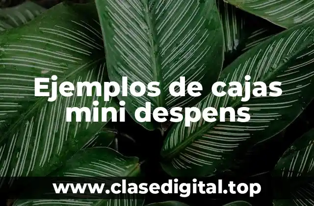 Ejemplos de cajas mini despens