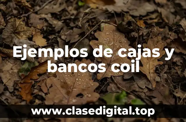 Ejemplos de cajas y bancos coil