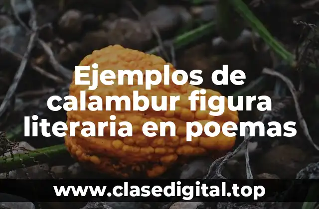 Ejemplos de calambur figura literaria en poemas