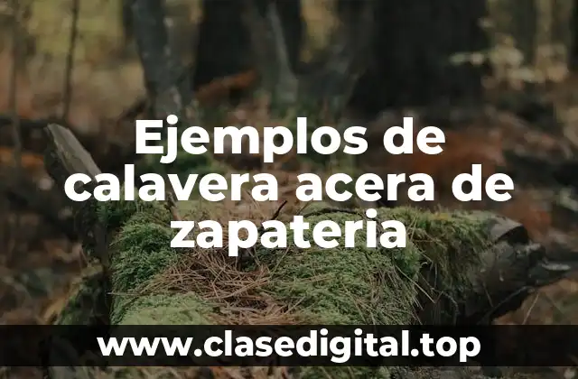 Ejemplos de calavera acera de zapateria