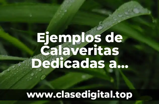 Ejemplos de Calaveritas Dedicadas a Militares