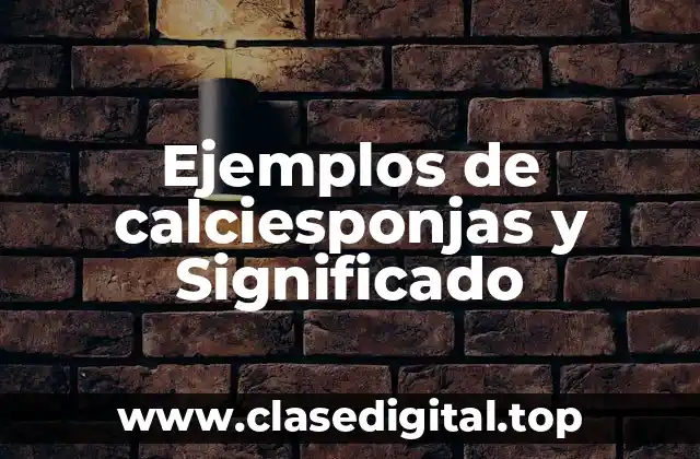 Ejemplos de calciesponjas y Significado