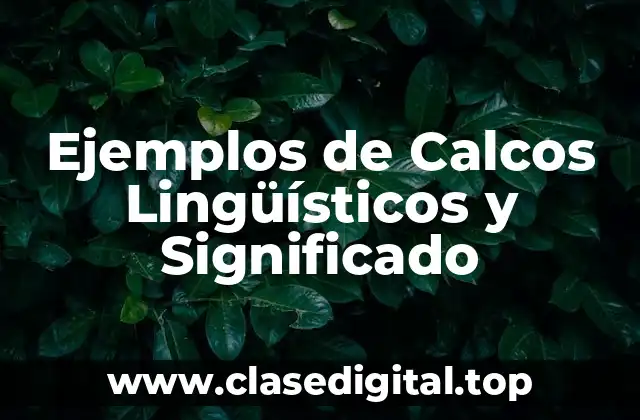 Ejemplos de Calcos Lingüísticos