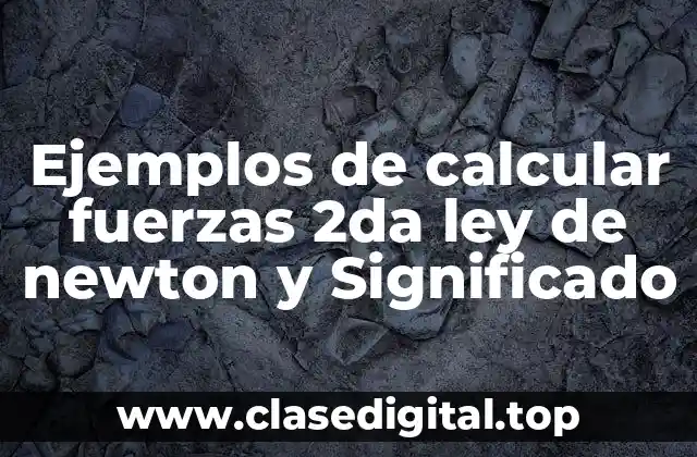 Ejemplos de calcular fuerzas 2da ley de newton y Significado