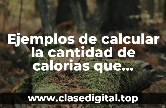 Ejemplos de calcular la cantidad de calorias que consumimos