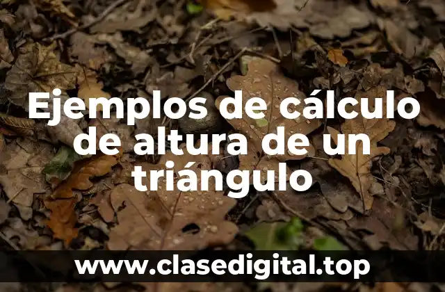 Ejemplos de cálculo de altura de un triángulo