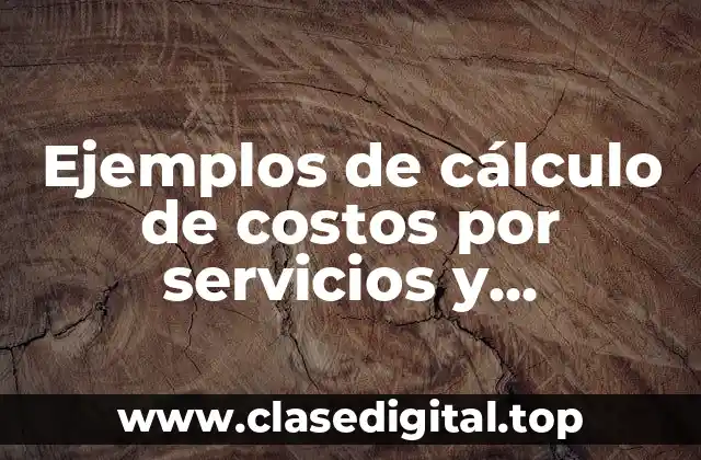 Ejemplos de cálculo de costos por servicios y Significado