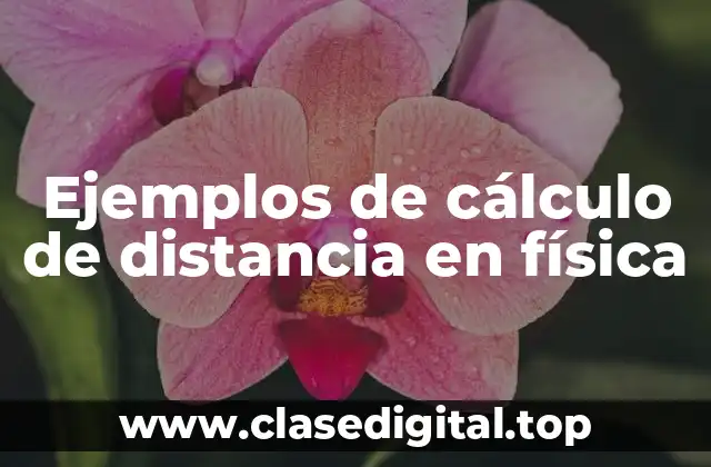 Ejemplos de cálculo de distancia en física