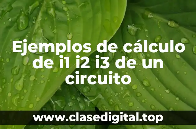 Ejemplos de cálculo de i1 i2 i3 de un circuito