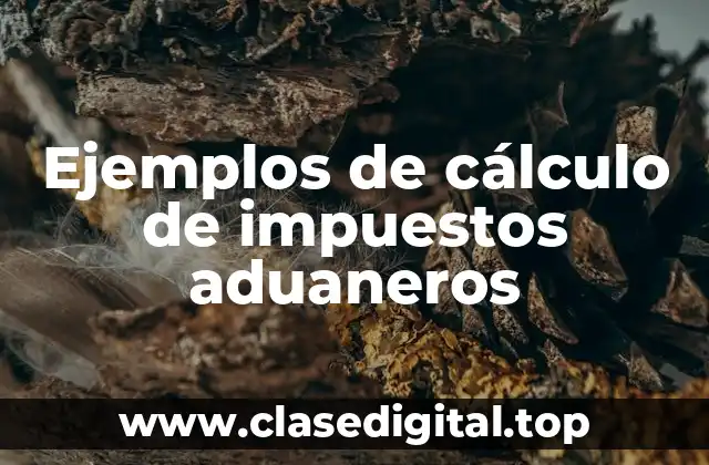 Ejemplos de cálculo de impuestos aduaneros