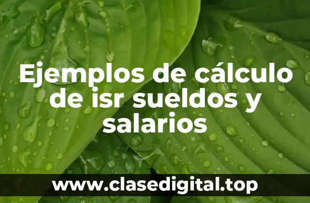 Ejemplos de cálculo de isr sueldos y salarios