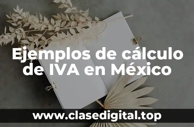 Ejemplos de cálculo de IVA en México
