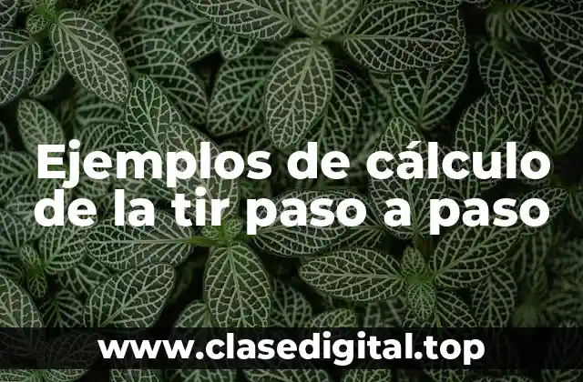 Ejemplos de cálculo de la tir paso a paso