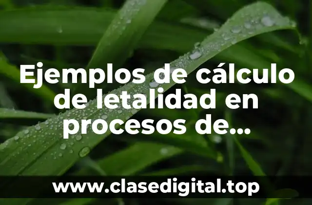 Ejemplos de cálculo de letalidad en procesos de esterilización