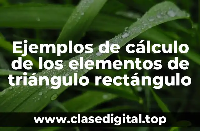 Ejemplos de cálculo de los elementos de triángulo rectángulo