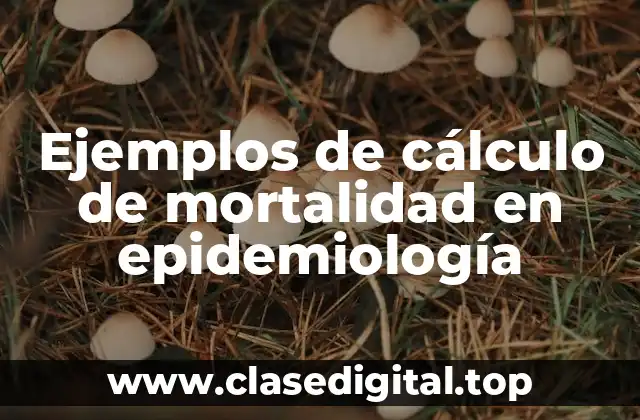 Ejemplos de cálculo de mortalidad en epidemiología