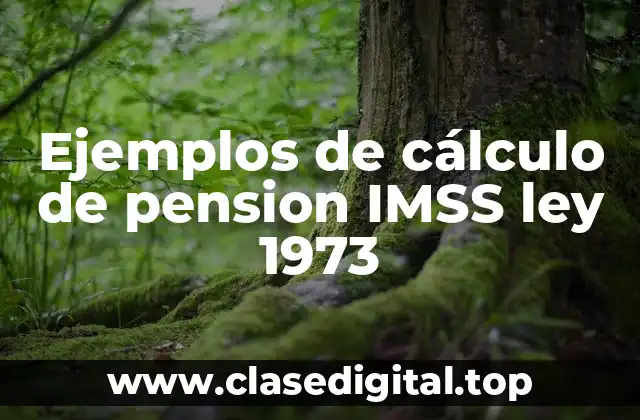 Ejemplos de cálculo de pension IMSS ley 1973