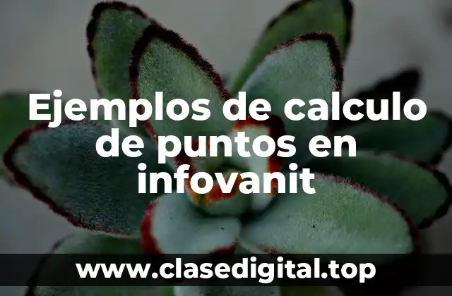 Ejemplos de calculo de puntos en infovanit