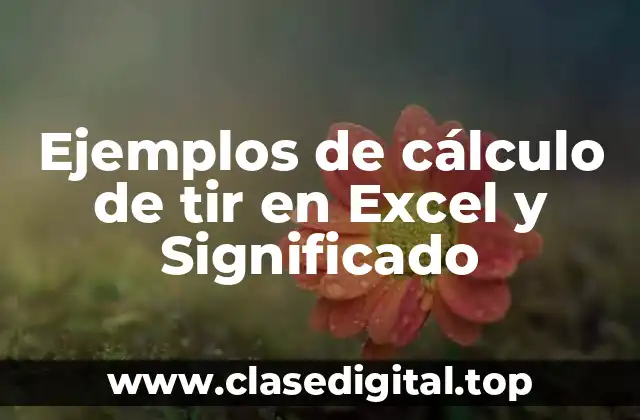 Ejemplos de cálculo de tir en Excel