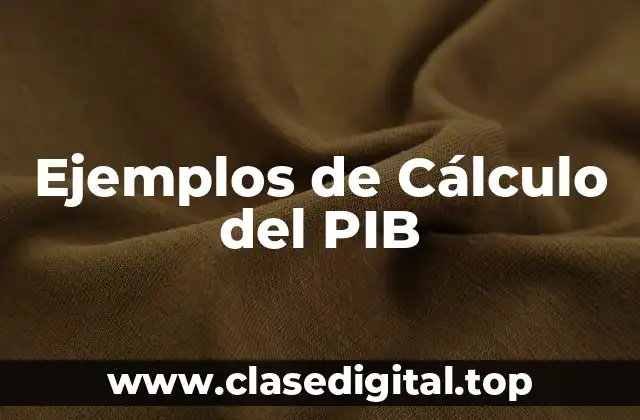 Ejemplos de Cálculo del PIB
