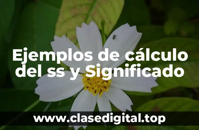 Ejemplos de cálculo del ss y Significado