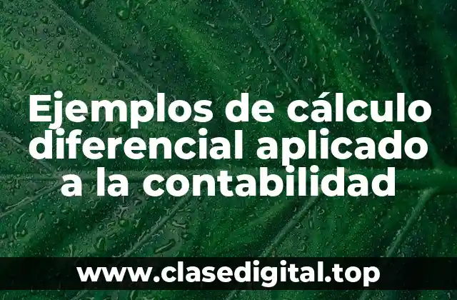 Ejemplos de cálculo diferencial aplicado a la contabilidad