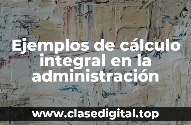 Ejemplos de cálculo integral en la administración