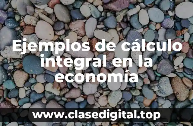 Ejemplos de cálculo integral en la economía