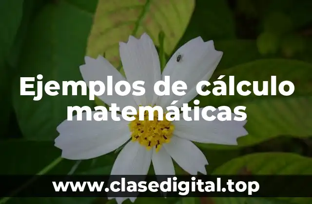 Ejemplos de cálculo matemáticas