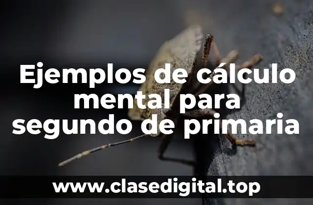 Ejemplos de cálculo mental para segundo de primaria