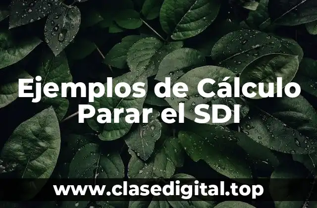 Ejemplos de Cálculo Parar el SDI