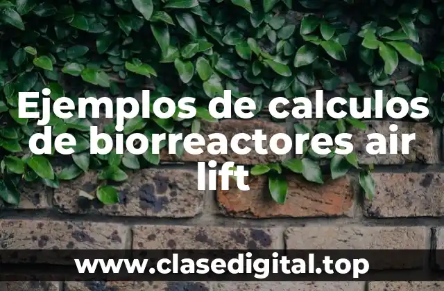Ejemplos de calculos de biorreactores air lift
