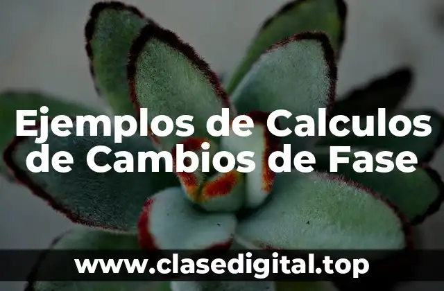 Ejemplos de Calculos de Cambios de Fase