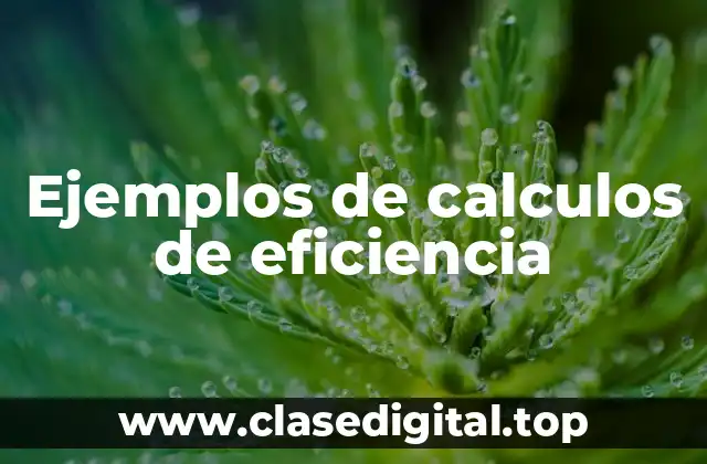 Ejemplos de calculos de eficiencia