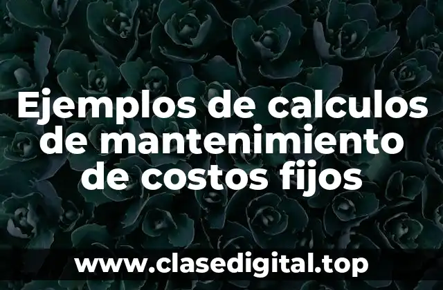 Ejemplos de calculos de mantenimiento de costos fijos