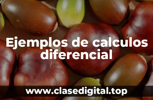 Ejemplos de calculos diferencial