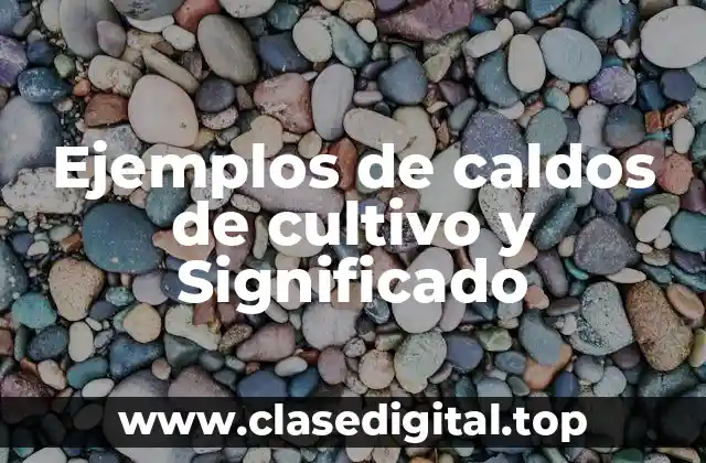 Ejemplos de caldos de cultivo y Significado