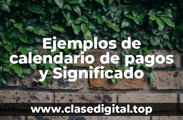 Ejemplos de calendario de pagos y Significado