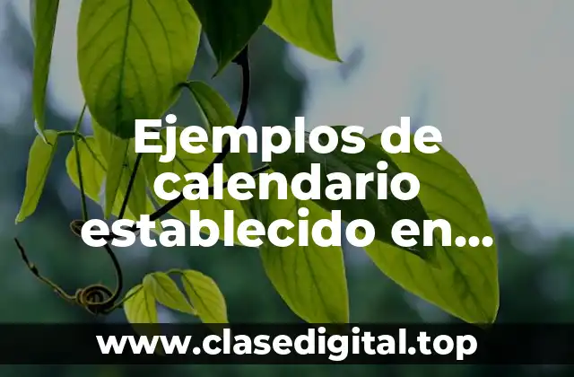 Ejemplos de calendario establecido en marketing