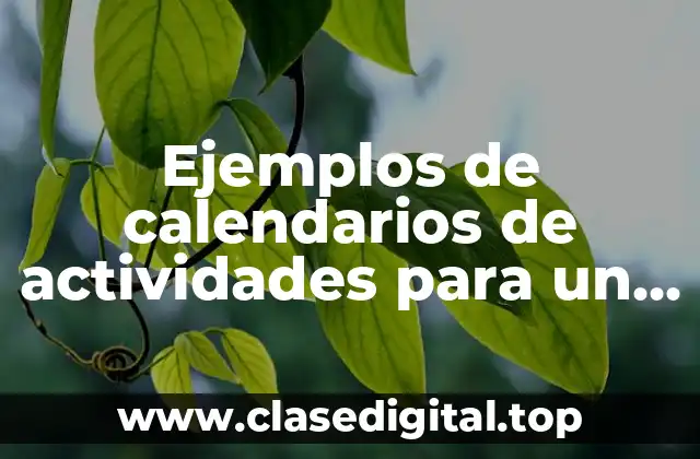 Ejemplos de calendarios de actividades para un niño