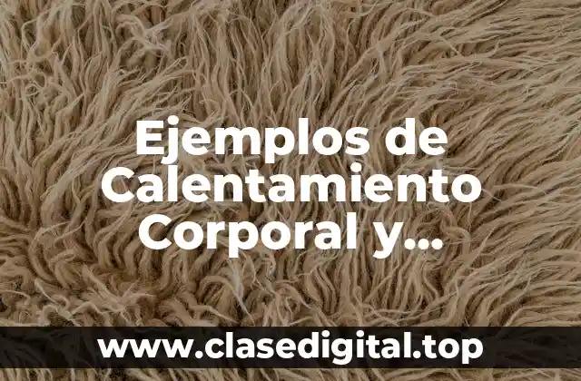 Ejemplos de Calentamiento Corporal y Significado