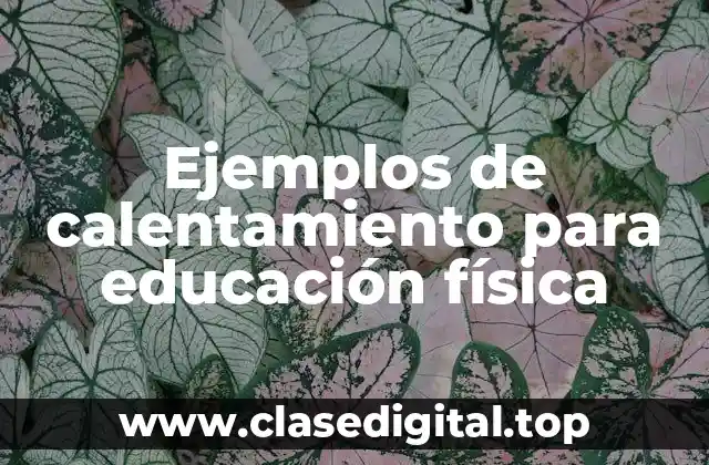 Ejemplos de calentamiento para educación física