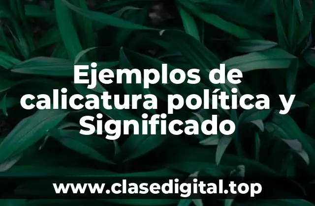 Ejemplos de calicatura política y Significado